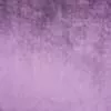 Star Velvet 22 Violet