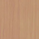 Бук