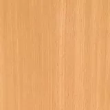 Бук светлый
