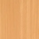 Бук светлый