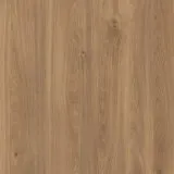 Дуб натуральный