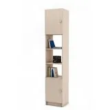 Дуб молочный